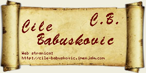 Ćile Babušković vizit kartica